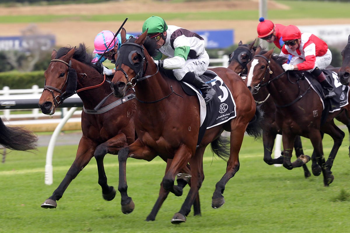 Dawn Parade Te Rapa bound