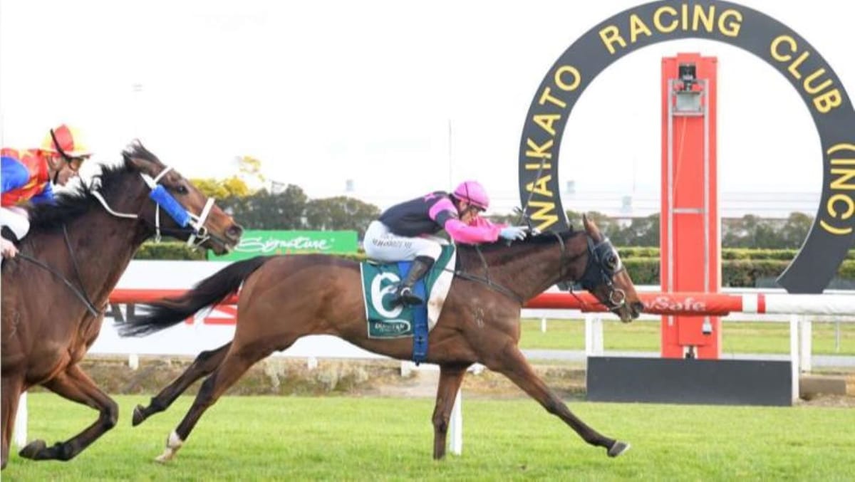 Diamond Jak wins at Te Rapa