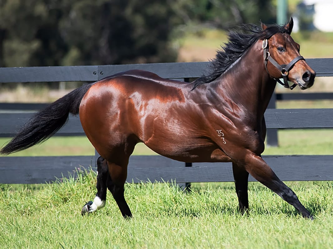 Heavenly start for Highview’s new recruit