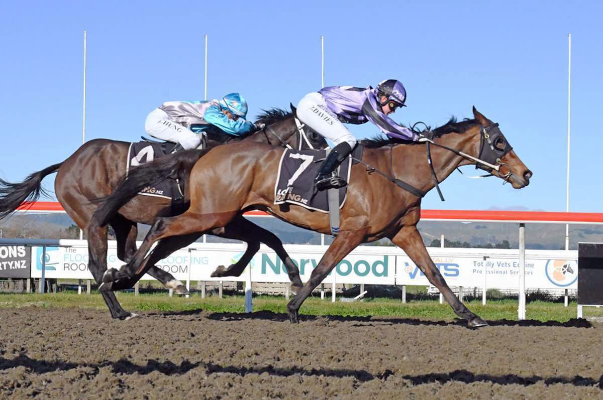 Mathews expecting strong showing from Free Spirit