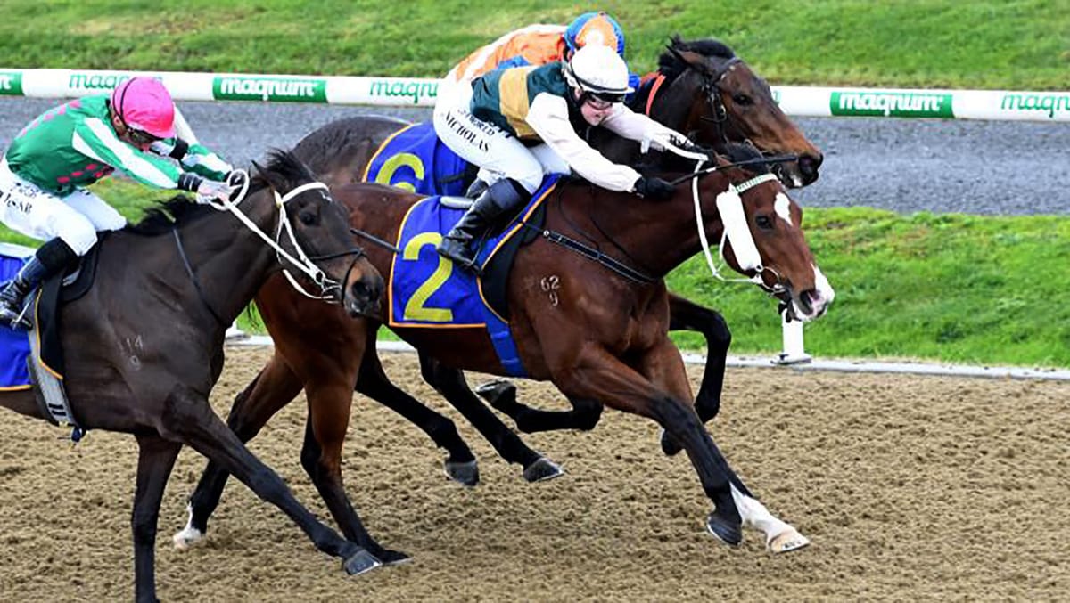 Good Brothers rewards connections with Cambridge win