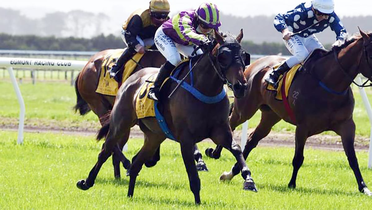 Rayner hoping to go one better at Riccarton