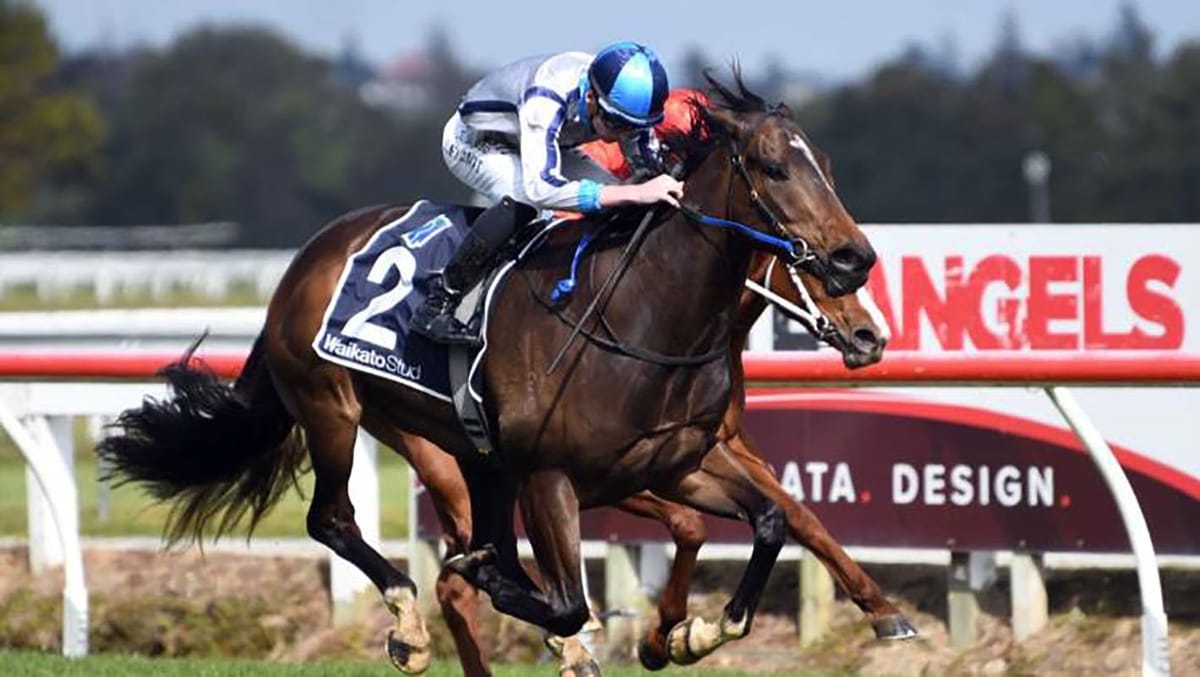 Debut victory for Lupo Solitario