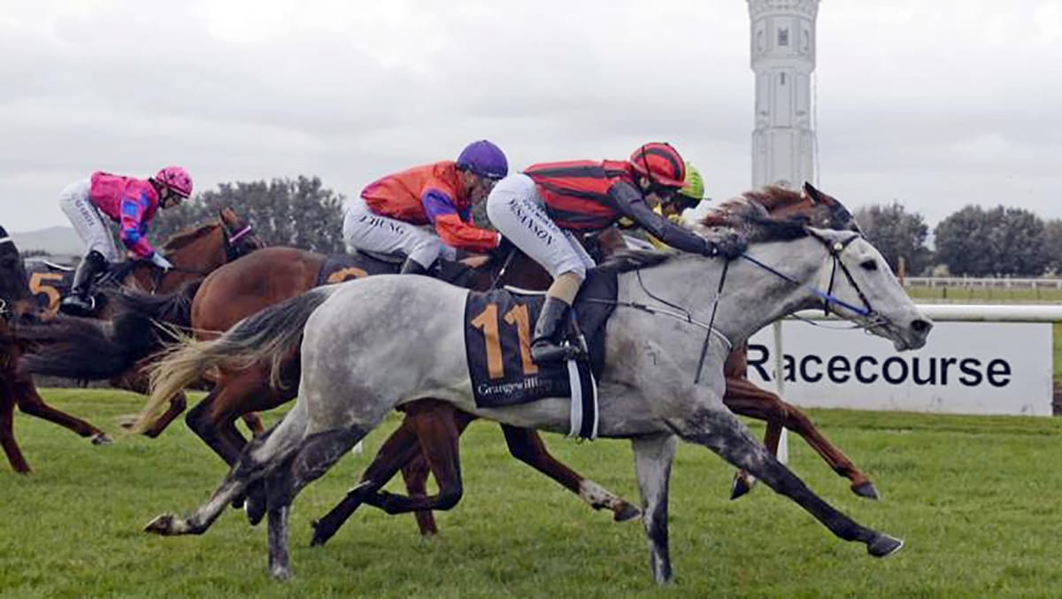 First training win for Hurrell