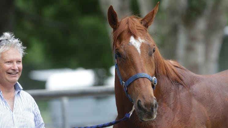 Wewillrock ready to make some noise