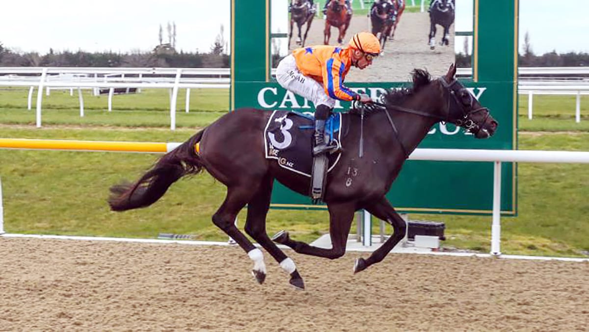 Te Akau dominant at Riccarton
