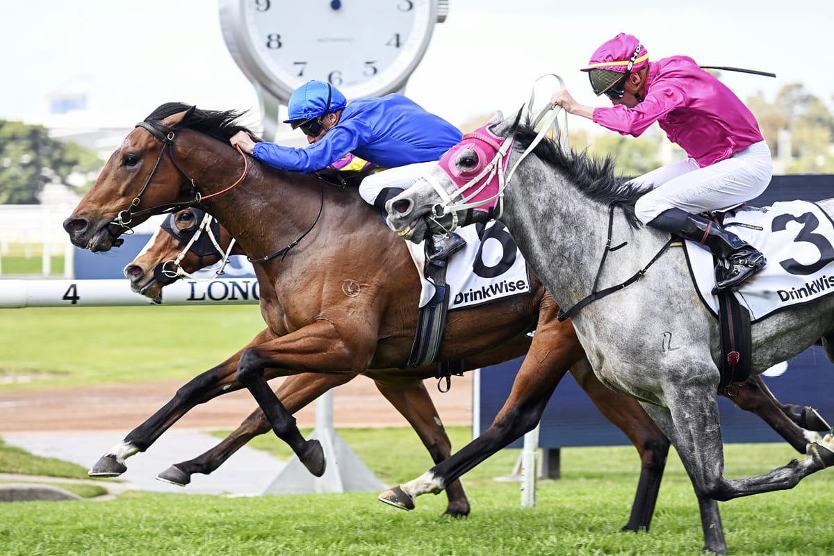 Four in a row as Marquess rules supreme at Rosehill