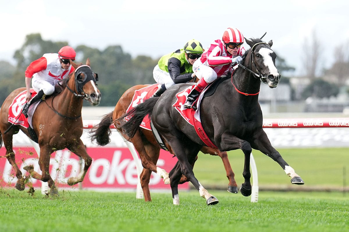 Stakes target for Our Red MorningStakes target for Our Red Morning