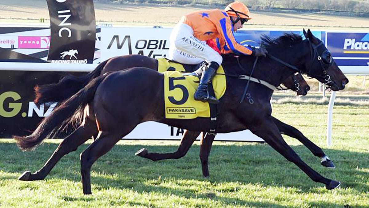 Quintessa remains unbeaten
