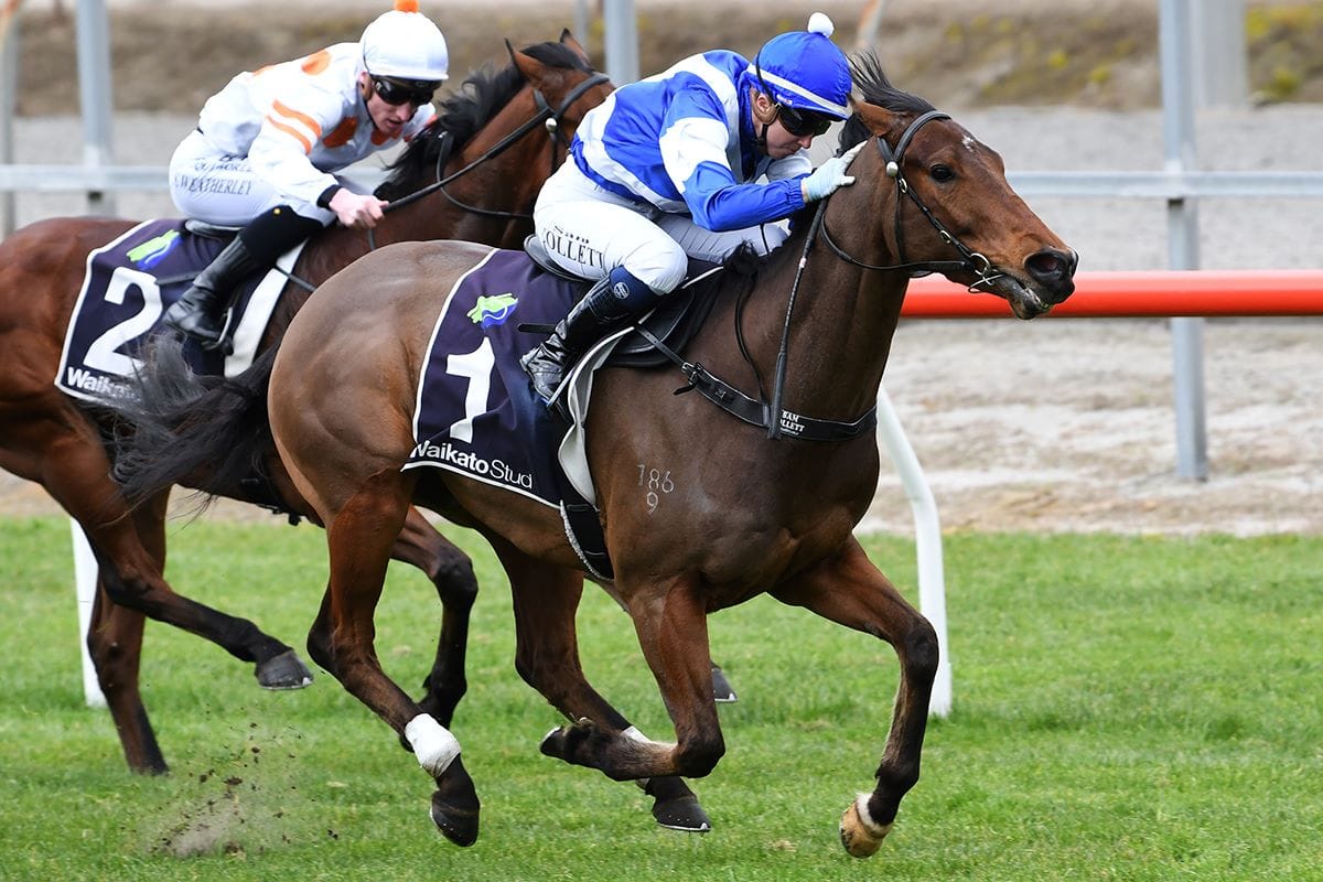 Collett gets sentimental century