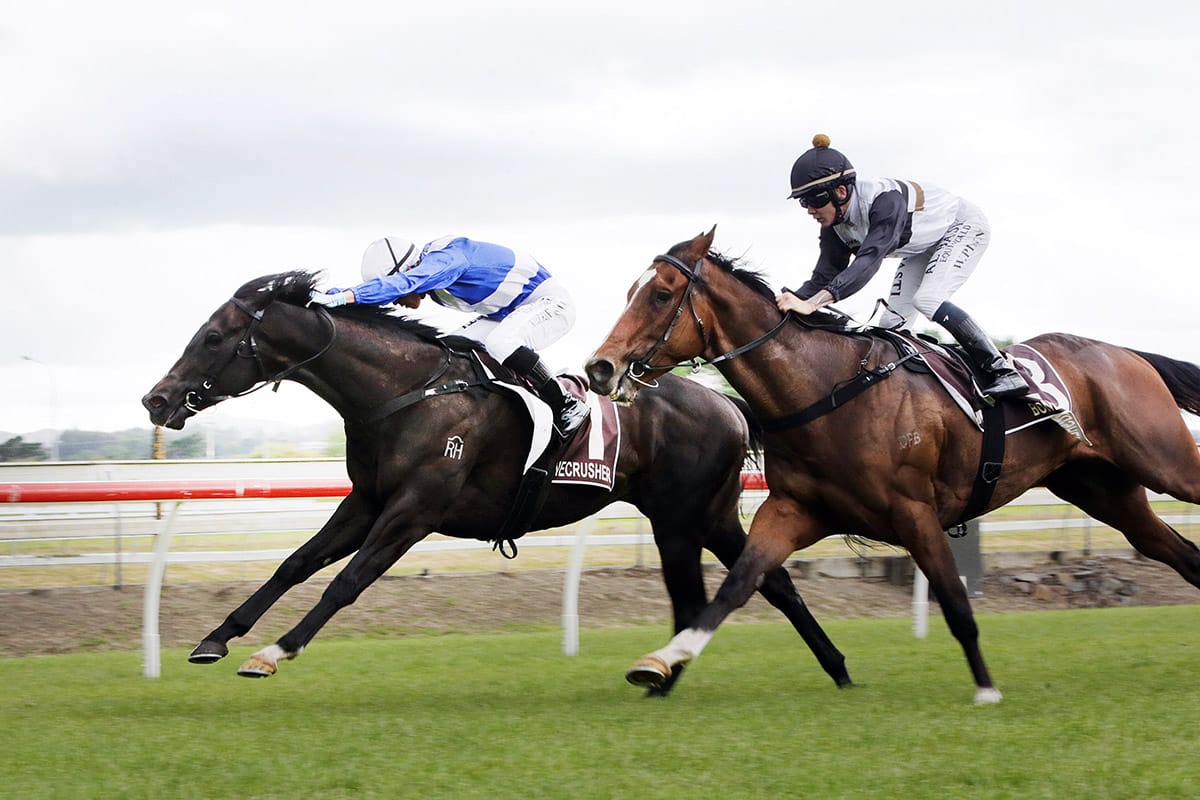 Sacred Satono up for trip to Sydney