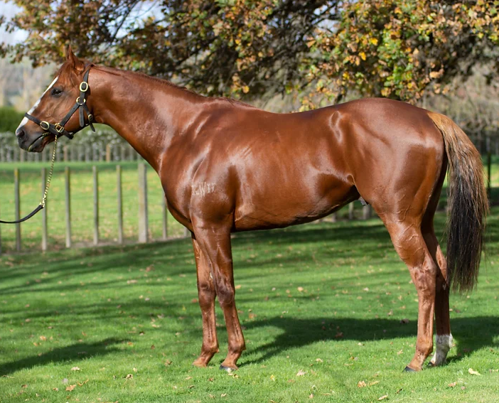 One off special for Sneaking to Win