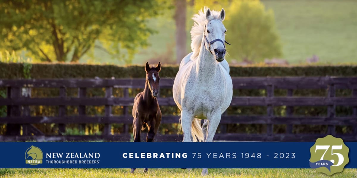 Entain-NZB Insurance Pearl Series Nominations closing Thursday