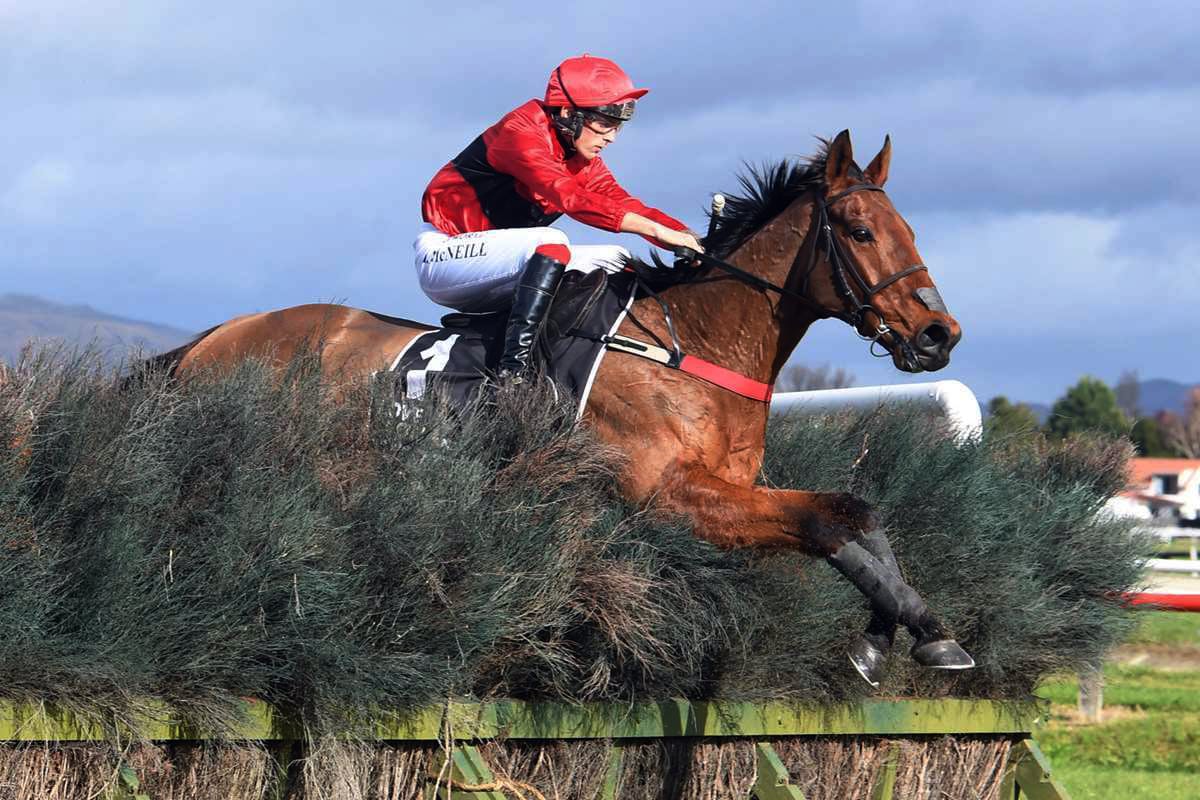 Nelson/McDougal team head to Rotorua