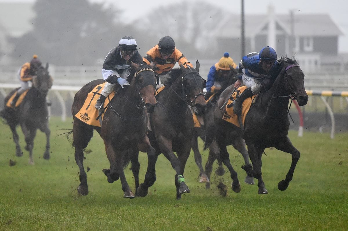 Hawke's Bay colours win Interprovincial