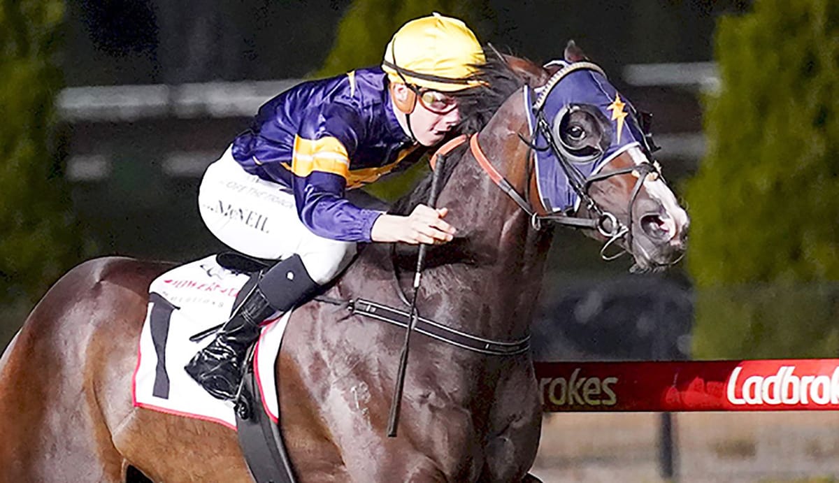 Snapper's Valley return