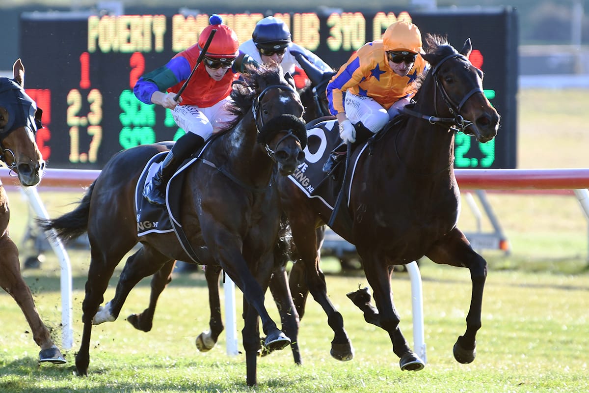 Solidify stamps his mark at Taupo