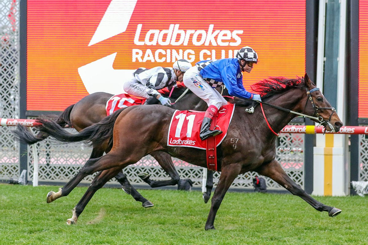 Valley quinella for Tavistock