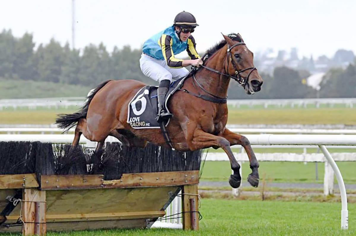 Tahuroa Height back to favoured track