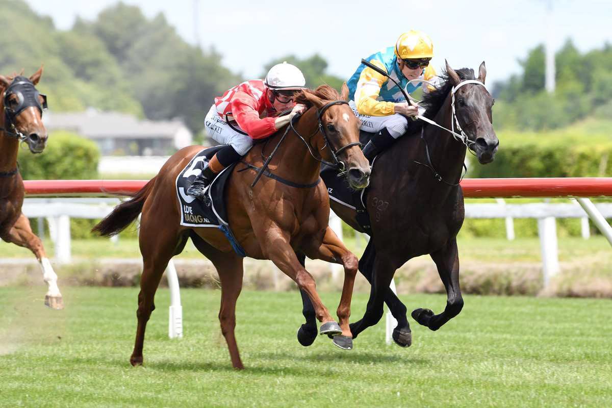 Contagious comes full-circle with return to gavelhouse.com