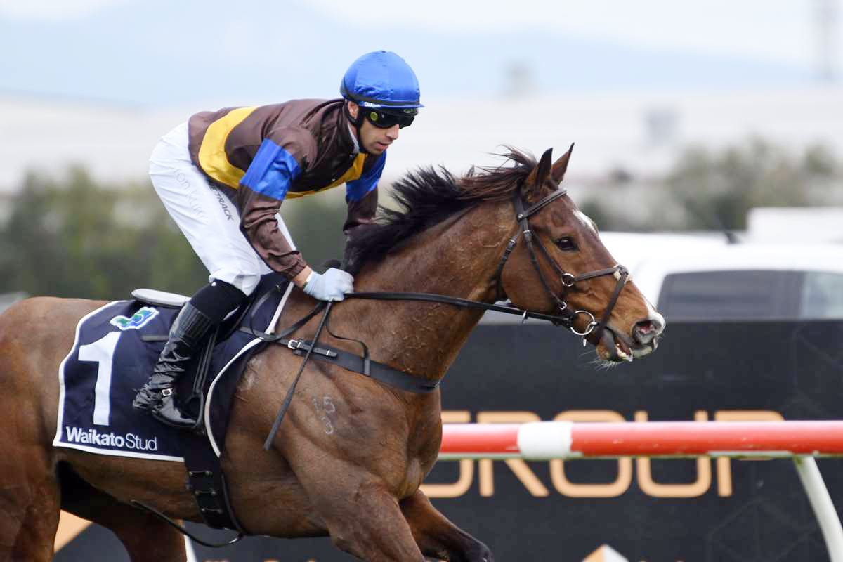 Nelson/McDougal seeking elusive crown