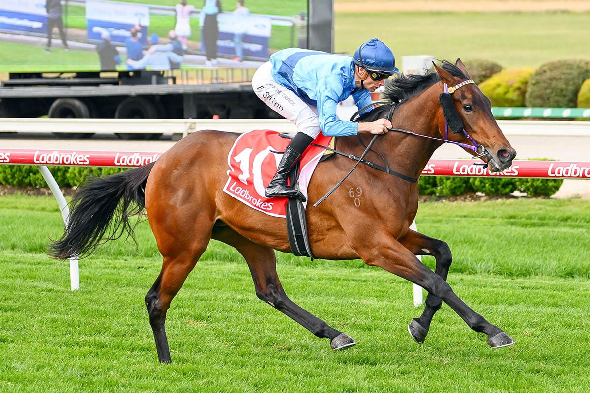 Brownes lower sights with Basilinna