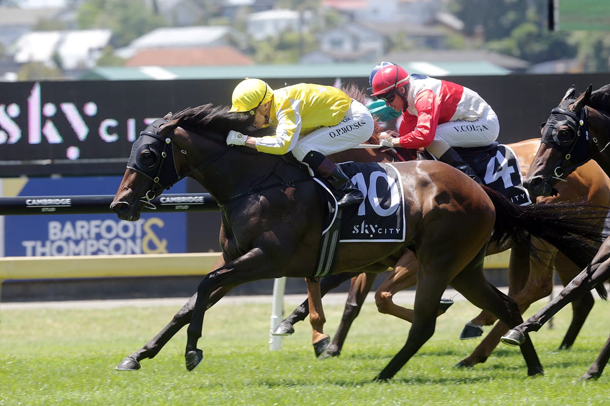 Bonny Lass to resume at Te Rapa