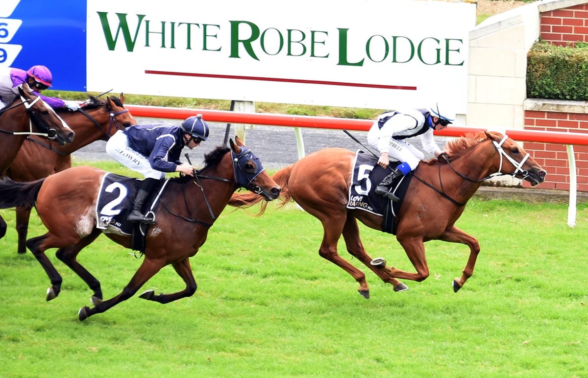 2022-23 South Island Racing Awards Winners