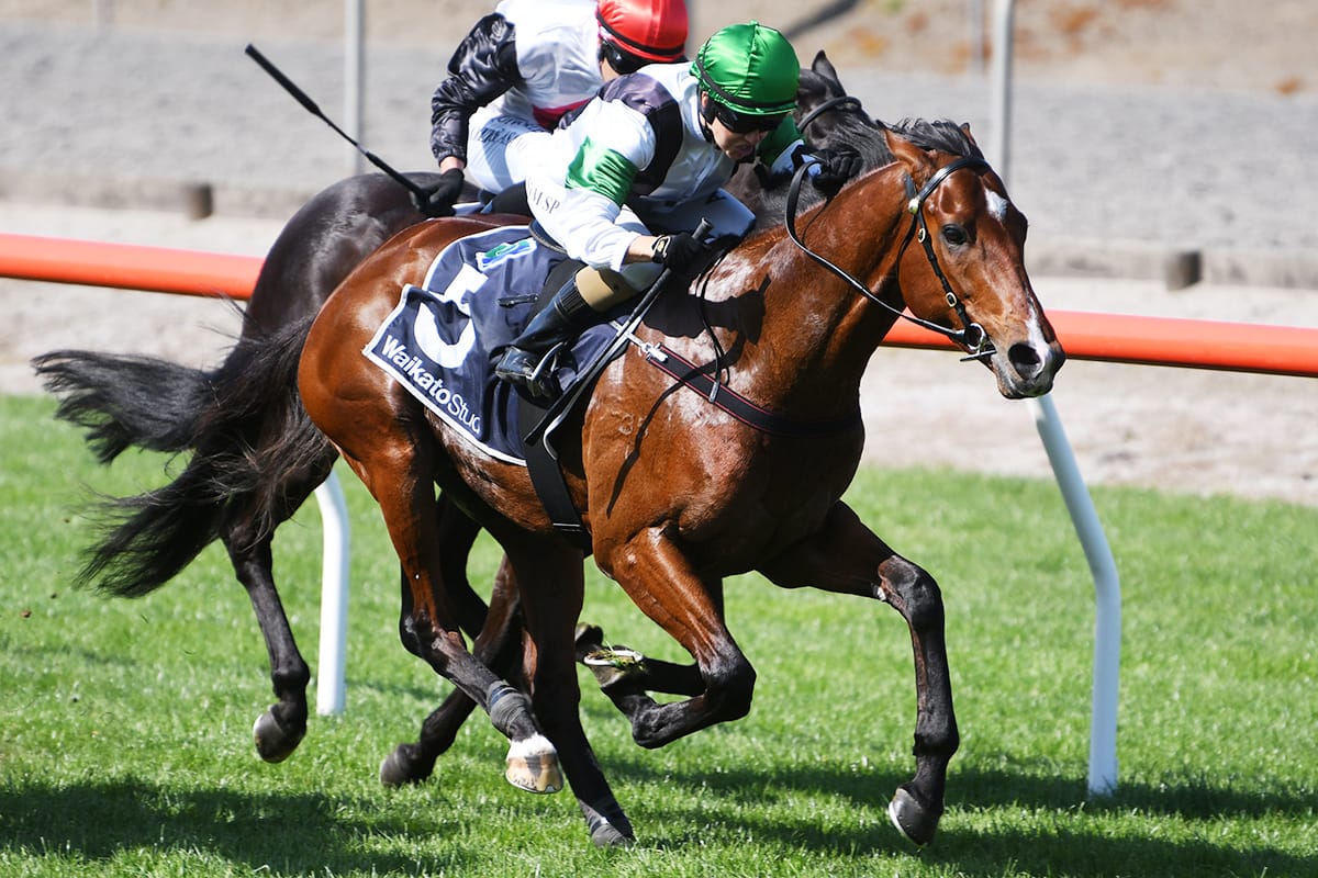 Raceday double for Pike