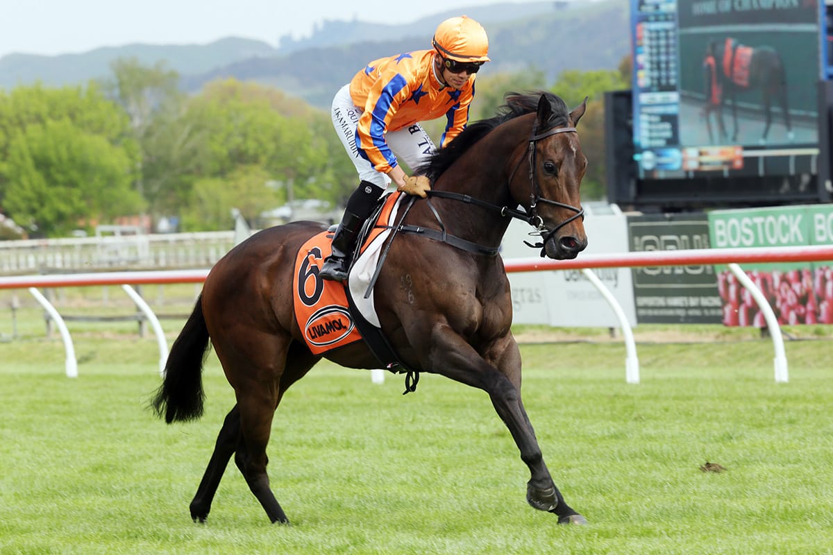 Te Akau Racing make big statement at Riccarton