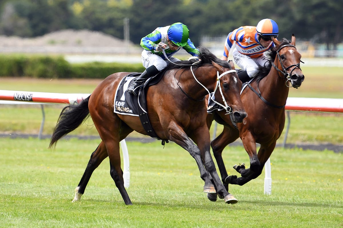 Marsh team on song for stakes test