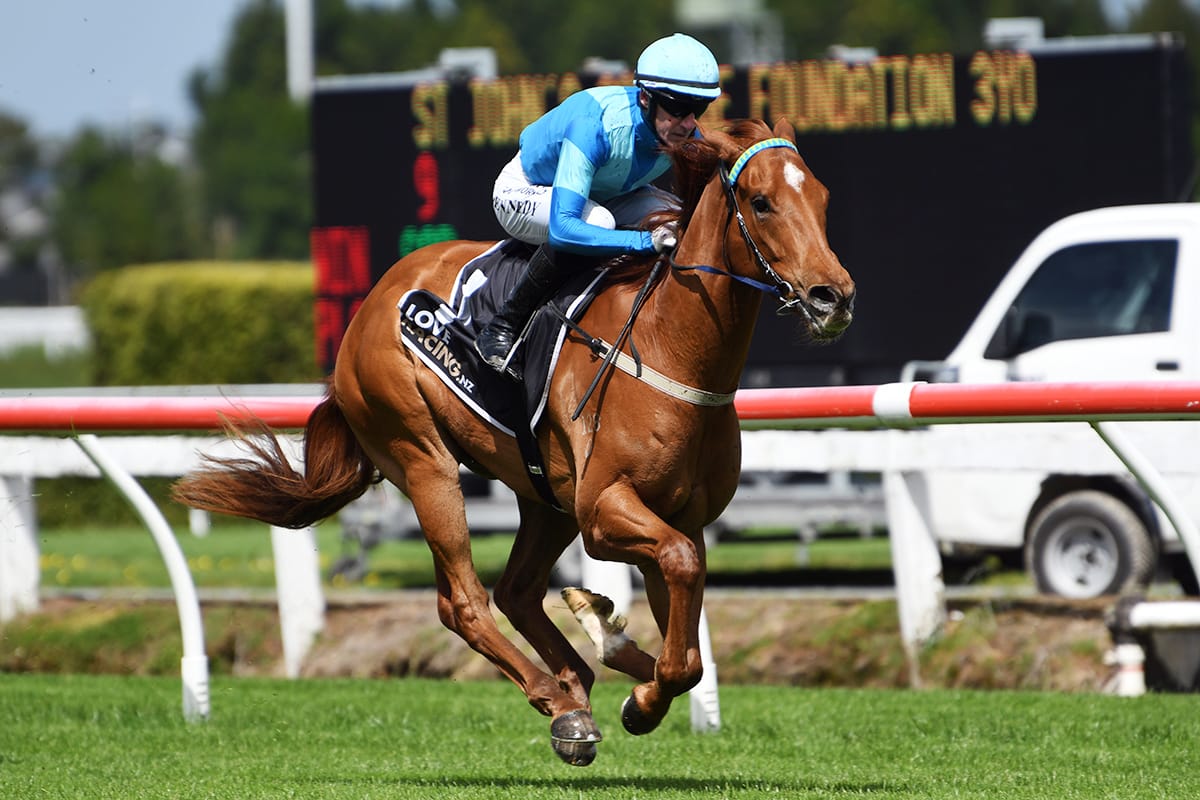 Exciting clash looming for Crocetti