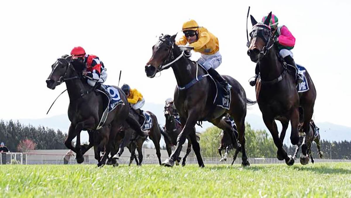 Danjuro to benefit from southern campaign