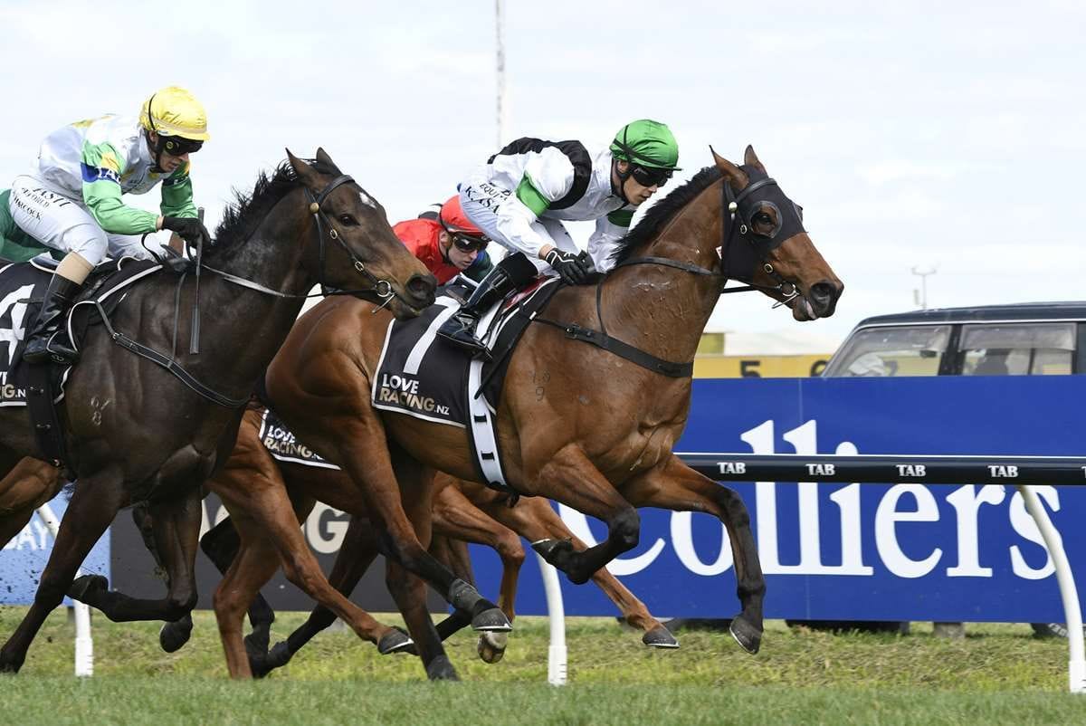 Dimaggio holds on for gritty win