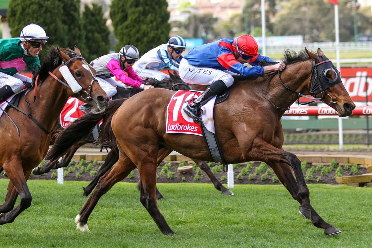 Tough staying win for Donatrice