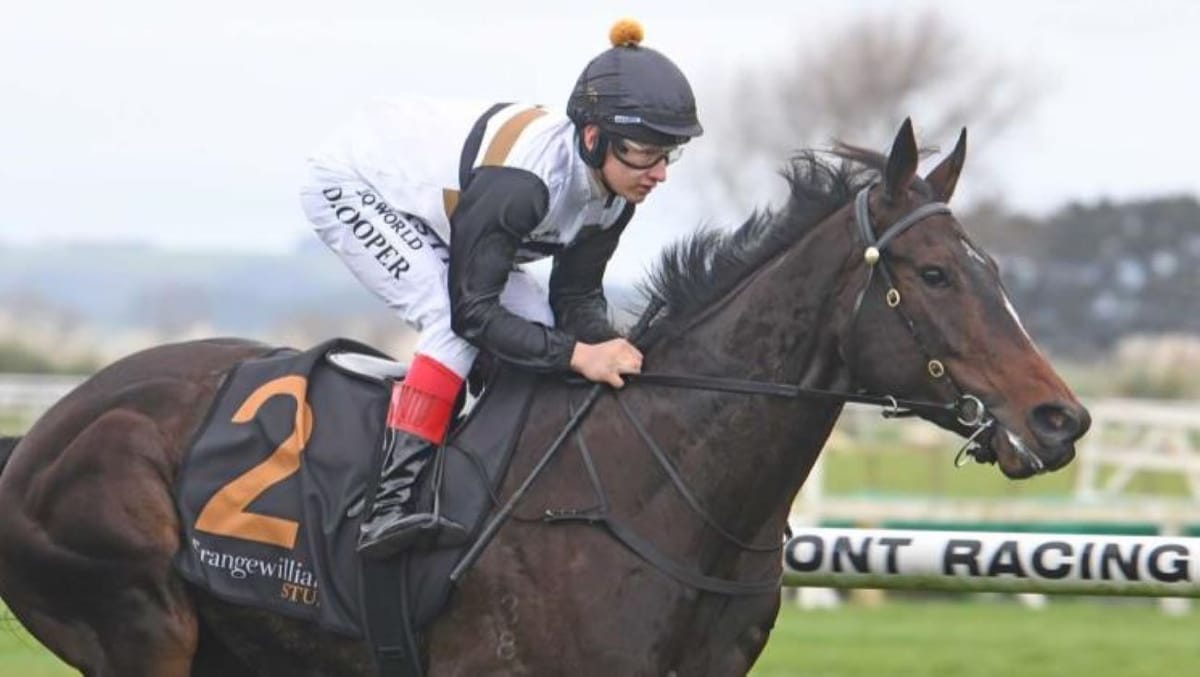 Promising apprentice sidelined with injury