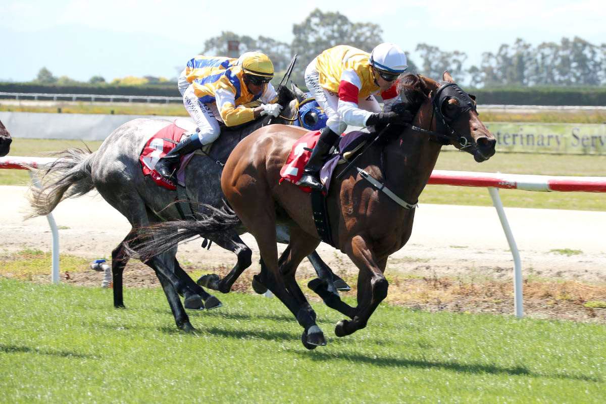 Emanon doing her bit for the family name