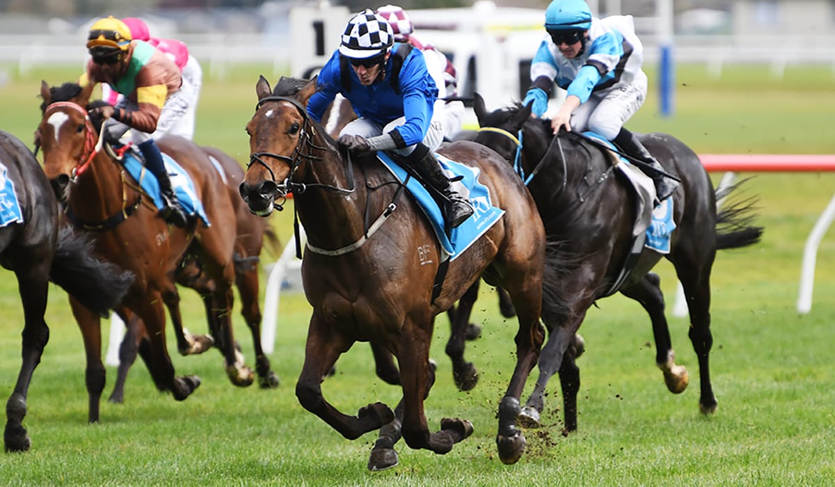 Eminent on the board