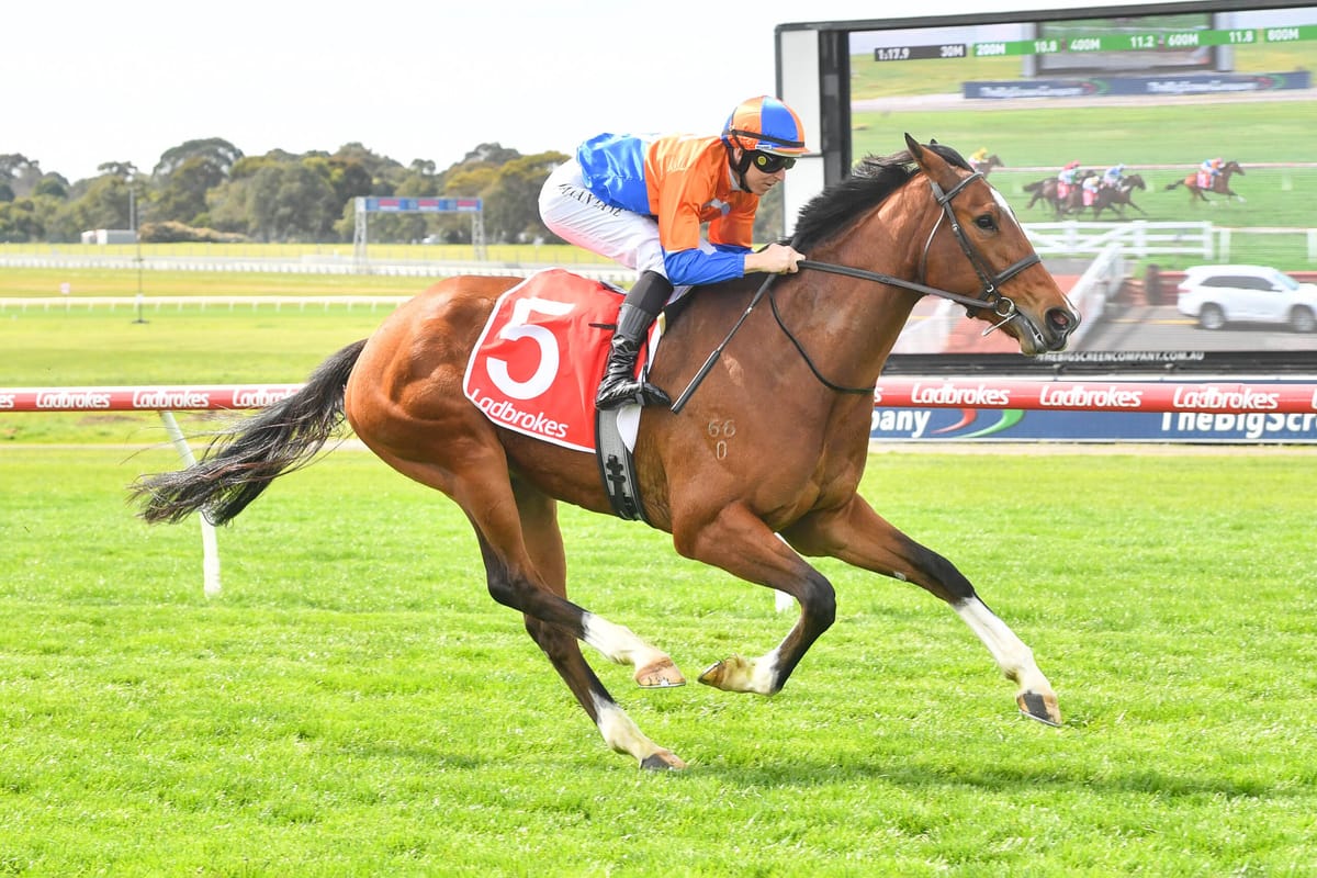 Strong Sandown victory for Grinzinger Belle