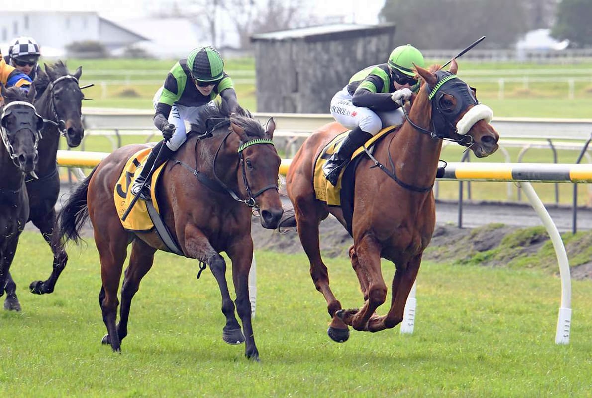 Trip to Taranaki a profitable one for Phelan
