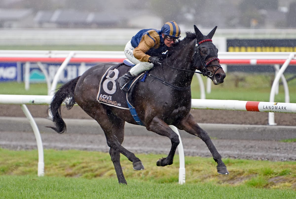 Idyllic slick at Awapuni