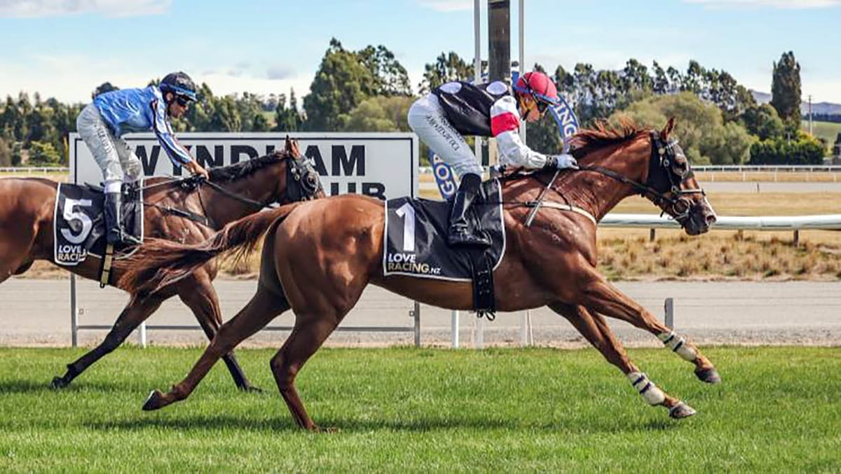 Henry humming ahead of black-type test