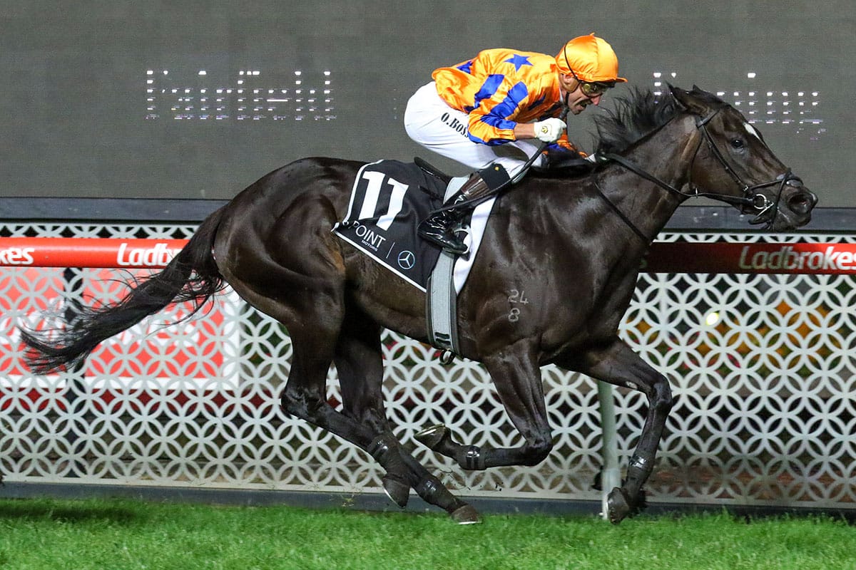 Imperatriz ready for raceday return