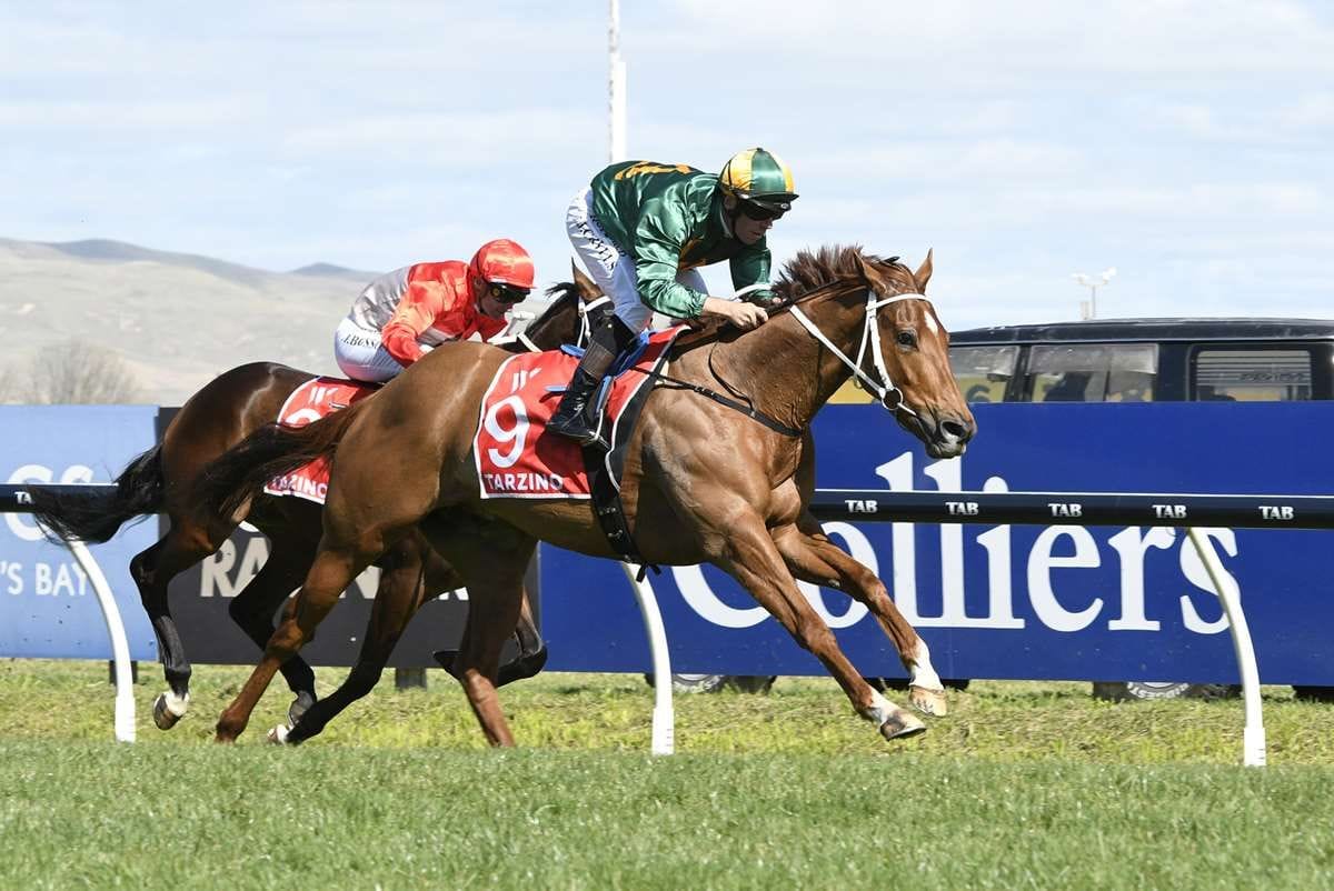 Promising Jimmysstar shows class