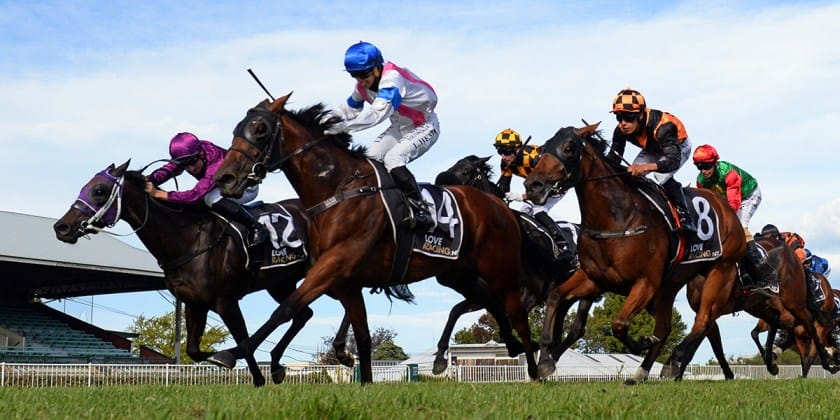 Llanacord a highlight of National Online Breeding Stock Sale
