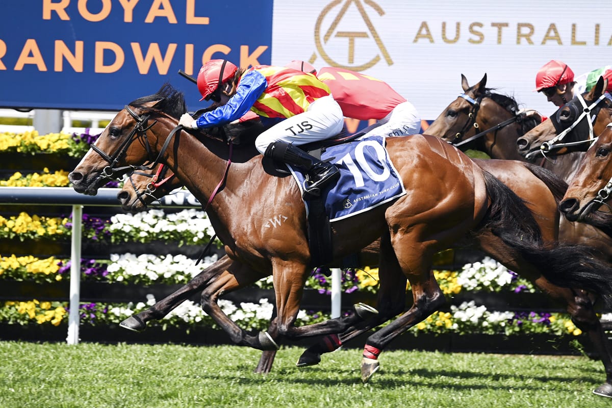 New Zealand-bred quinella in Randwick opener