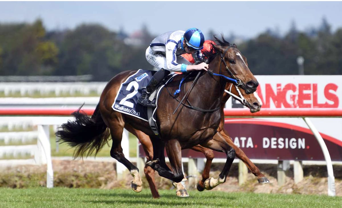 Lupo Solitario set for summer features