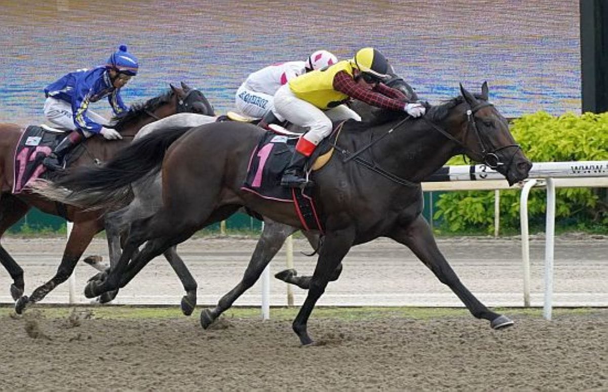 Major King impressive at Kranji