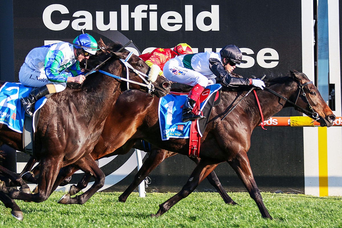 Mr Brightside superb in Memsie