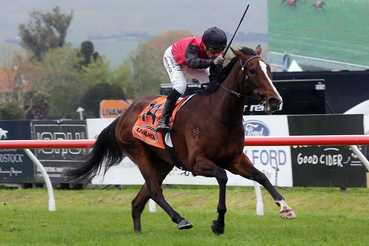 Forsman on rain watch